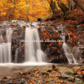 Impression sur toile de forêt d'automne pour le salon / 4 Panneaux en cascade Photos Impression / Arbre jaune Paysage Toile Art mural